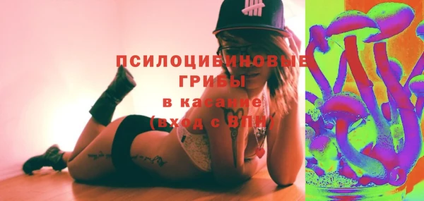 прущие грибы Алапаевск