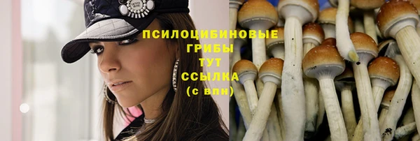 индика Аксай