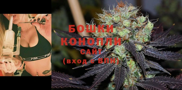 ПСИЛОЦИБИНОВЫЕ ГРИБЫ Баксан