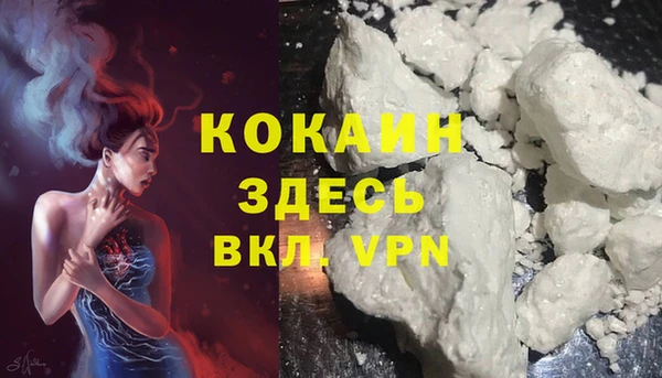 ПСИЛОЦИБИНОВЫЕ ГРИБЫ Баксан