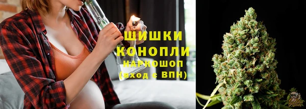 ПСИЛОЦИБИНОВЫЕ ГРИБЫ Баксан