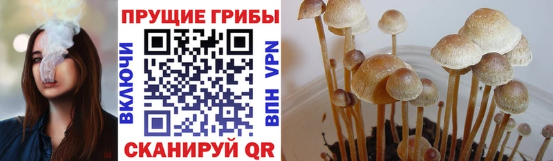 Псилоцибиновые грибы GOLDEN TEACHER  Бобров 